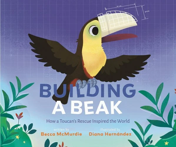 building a beak