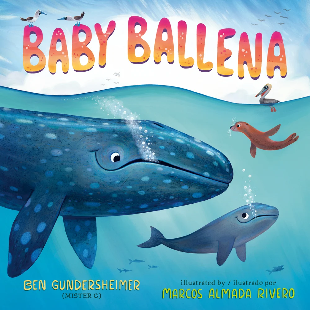 Baby Ballena Baby Ballena