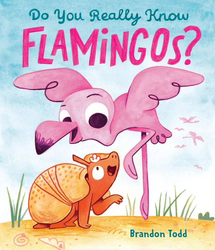 Do you really know flamingos