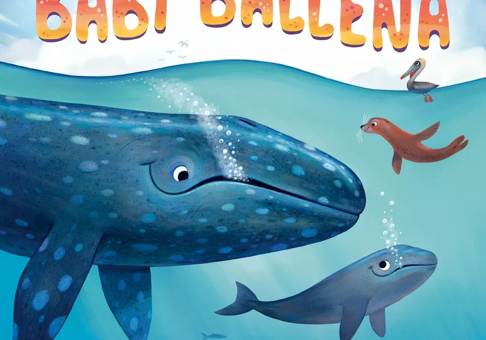 Baby Ballena