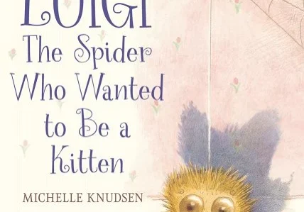 A picture book cover with a spider in it.