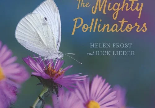 The Mighty Pollinators