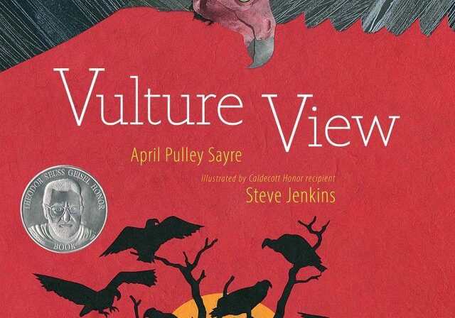 Vulture View