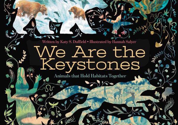 We are the keystones