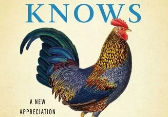 A book cover with an image of a chicken.