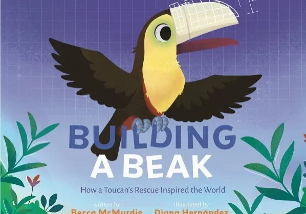 building a beak